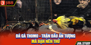 da-ga-thomo-tran-dau-an-tuong-ma-ban-nen-thu